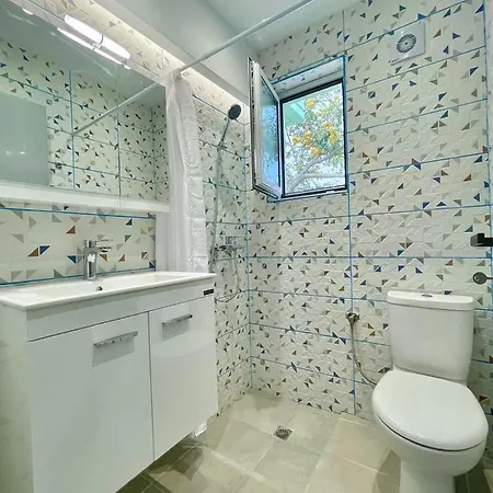 The Sky Yard Eclectic