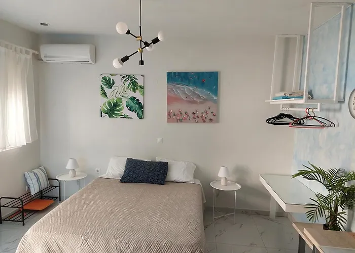 The Sky Yard Eclectic